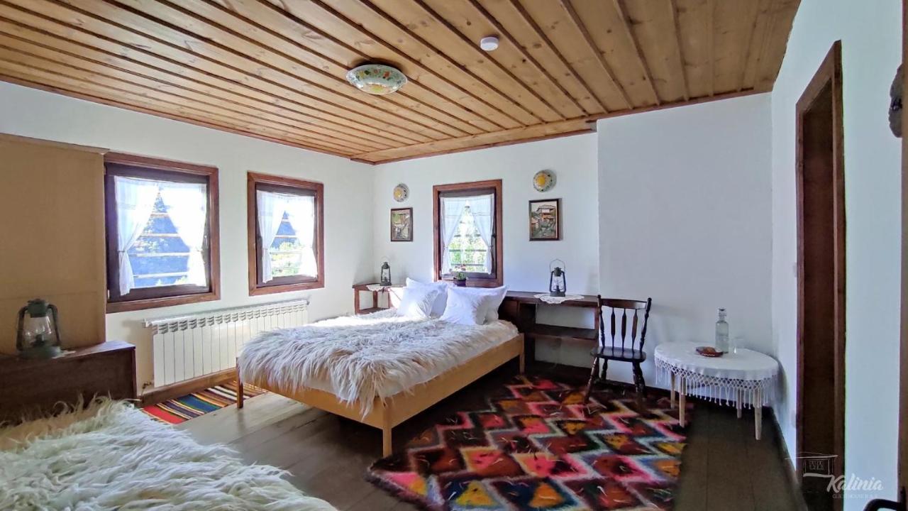 Kalinia Guesthouse B&B Ковачевица Экстерьер фото