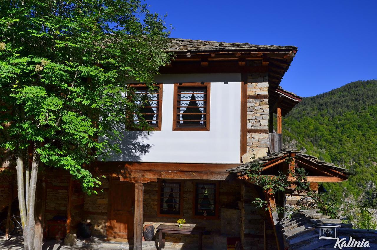 Kalinia Guesthouse B&B Ковачевица Экстерьер фото