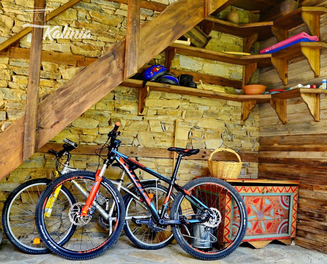 Kalinia Guesthouse B&B Ковачевица Экстерьер фото