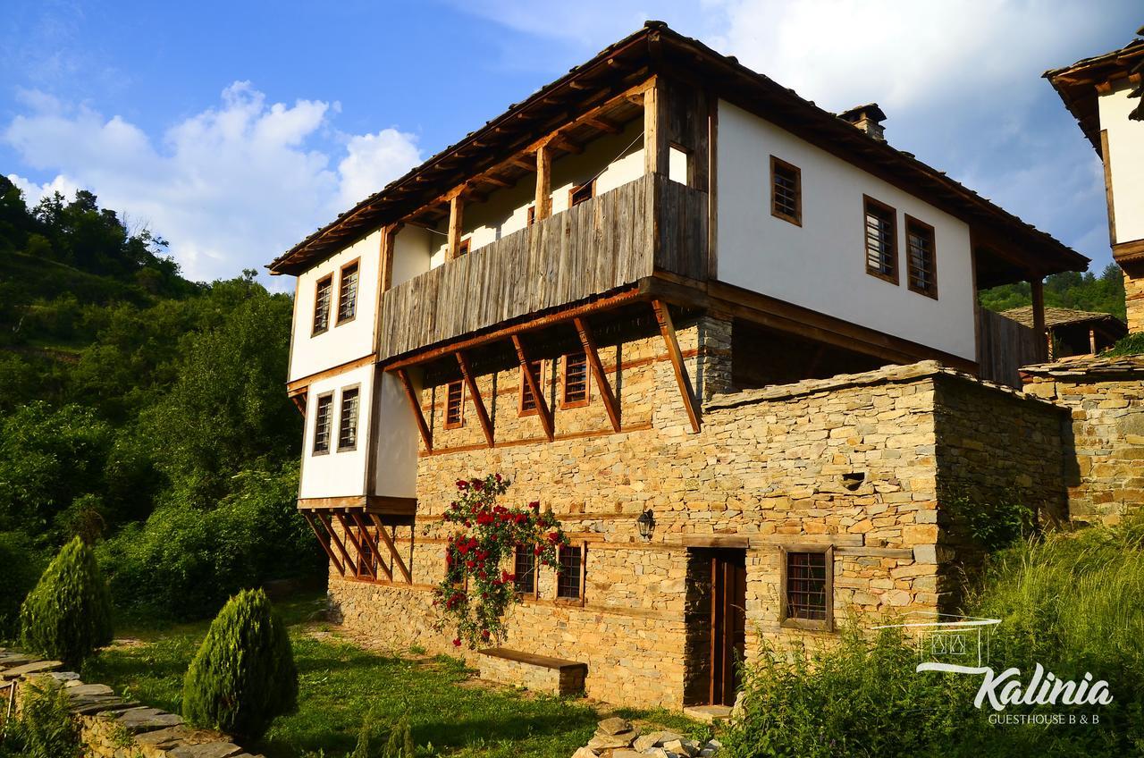 Kalinia Guesthouse B&B Ковачевица Экстерьер фото