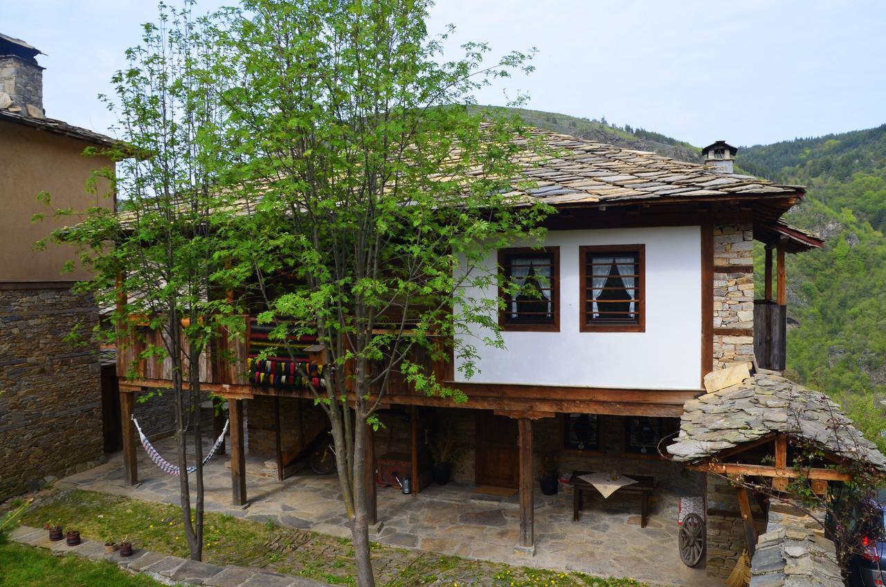 Kalinia Guesthouse B&B Ковачевица Экстерьер фото
