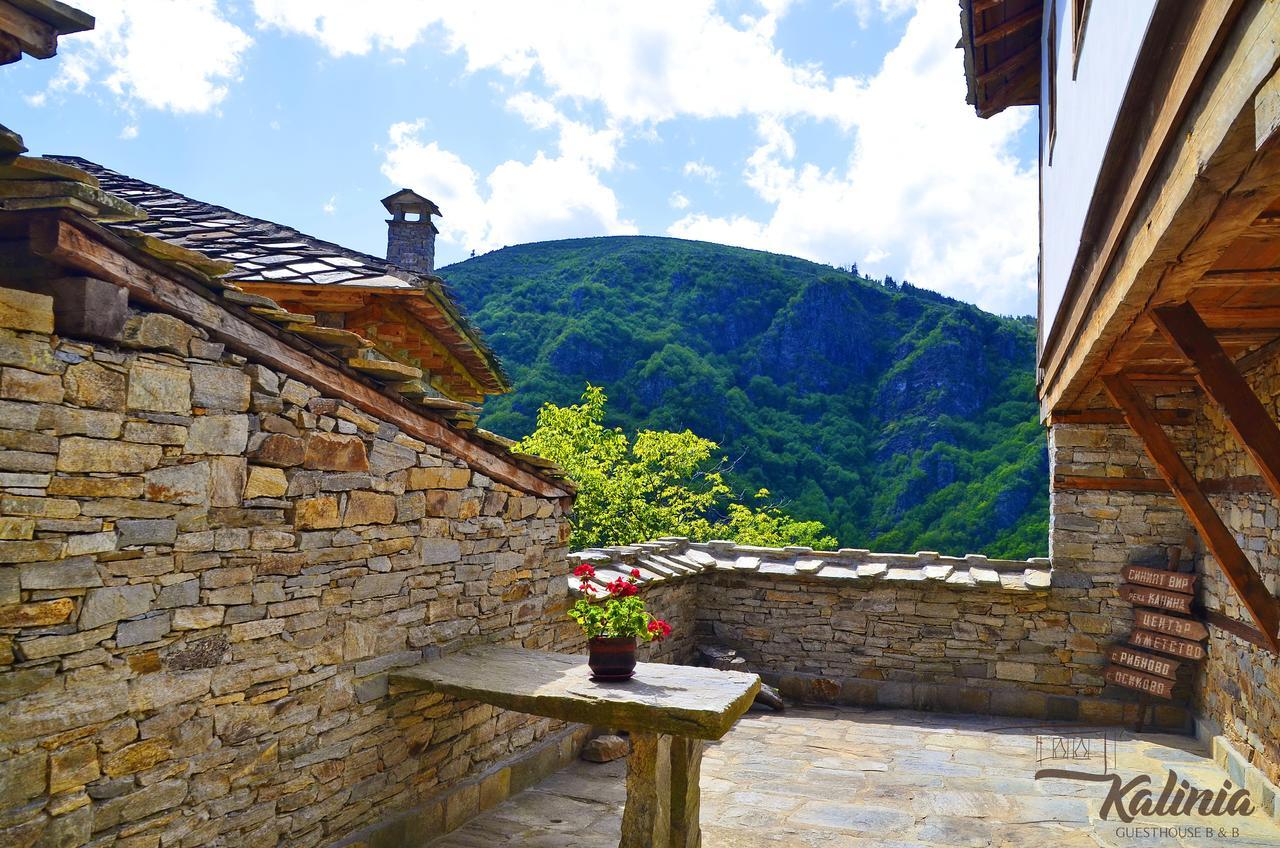 Kalinia Guesthouse B&B Ковачевица Экстерьер фото
