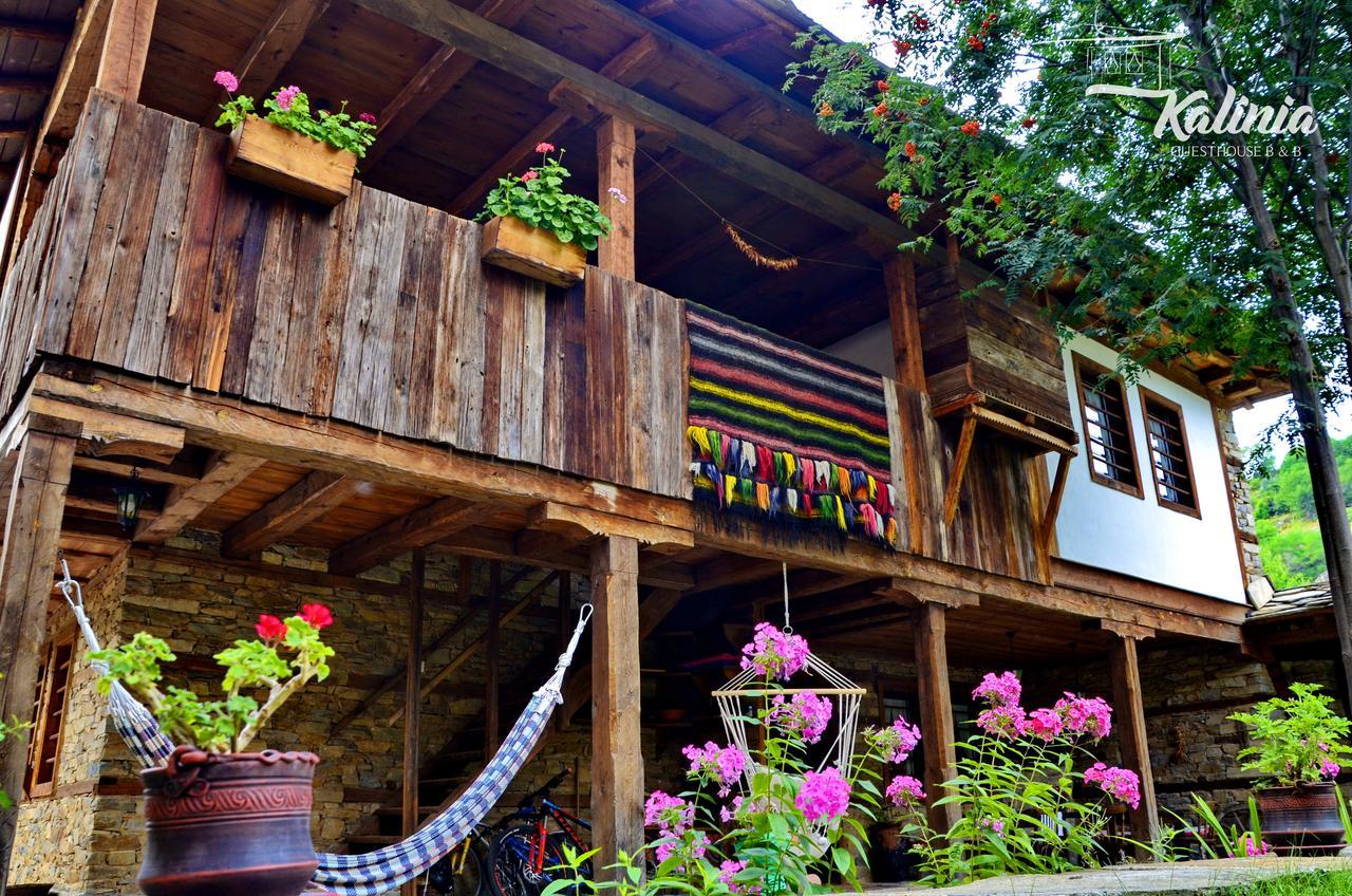 Kalinia Guesthouse B&B Ковачевица Экстерьер фото
