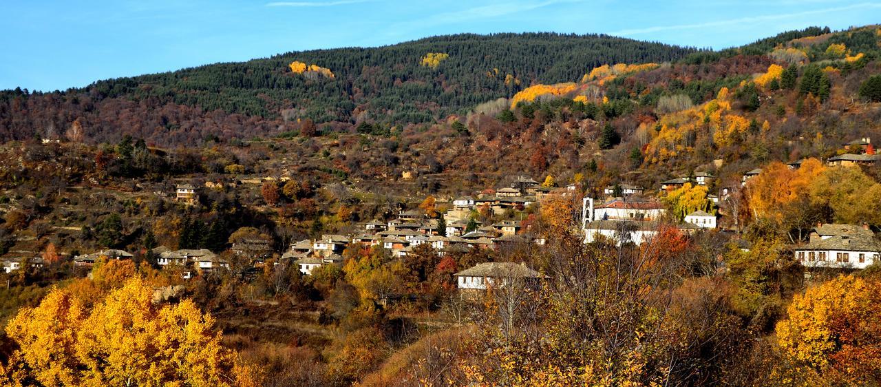 Kalinia Guesthouse B&B Ковачевица Экстерьер фото